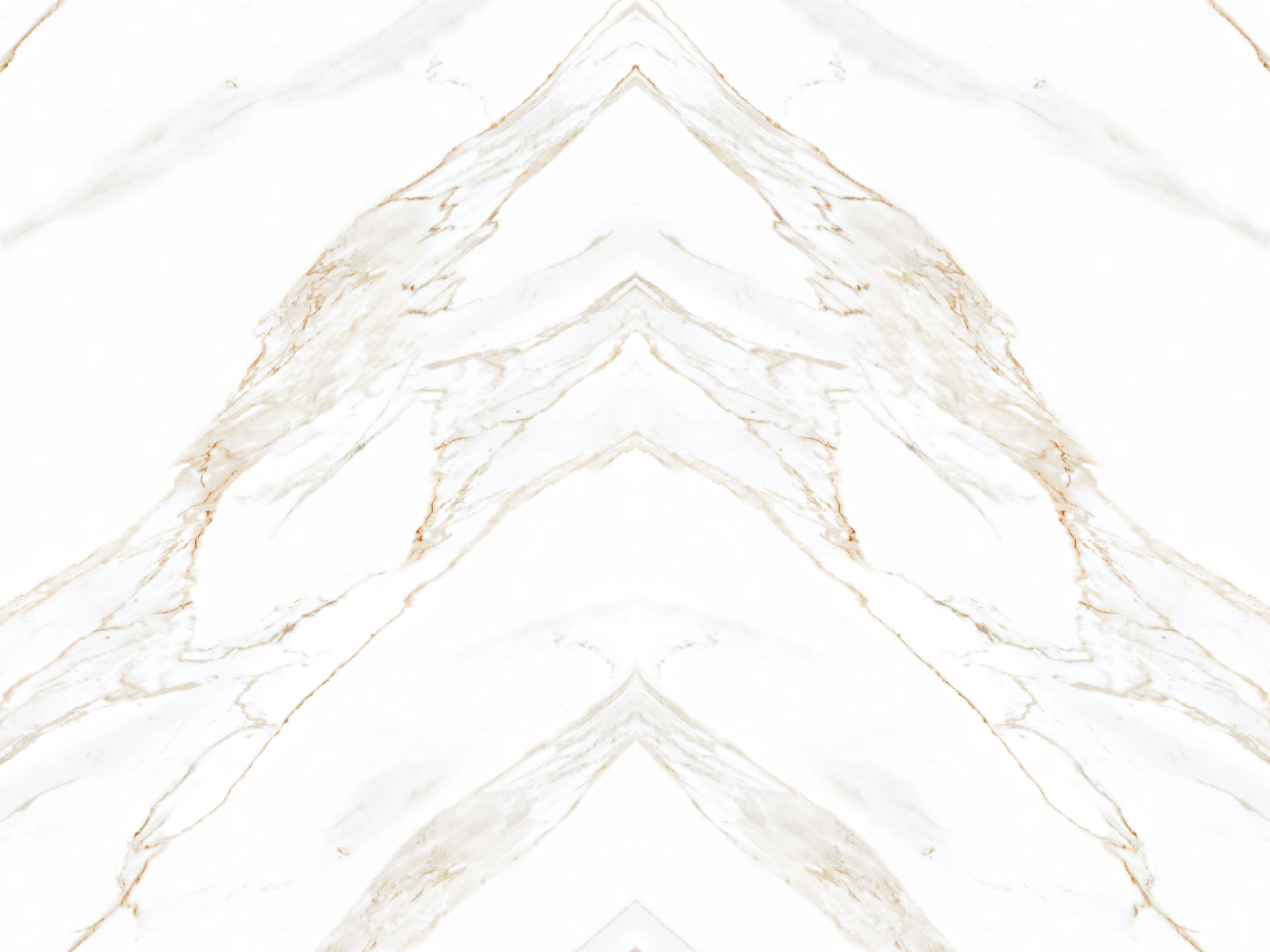 calacatta borghini
